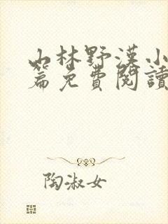 山林野汉小说全篇免费阅读封面