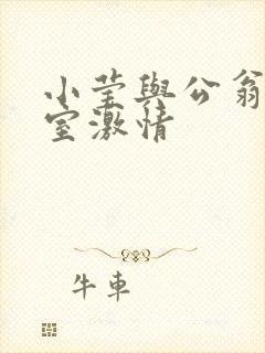 小莹与公翁办公室激情