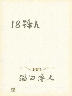 18号h