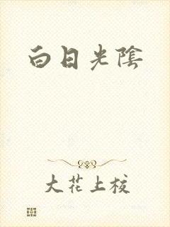 白日光阴