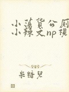 小荡货公厕h文小辣文np视频封面