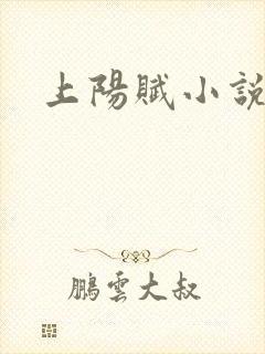 上阳赋小说封面