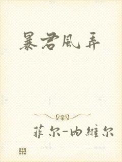 暴君风弄封面