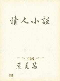 情人小说封面