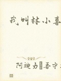 我叫林小喜17封面