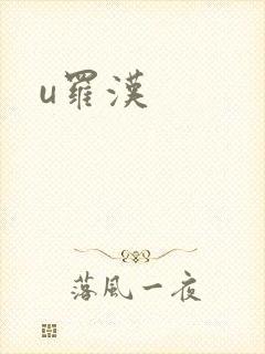 u罗汉封面