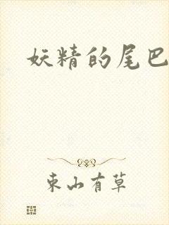 妖精的尾巴目录封面