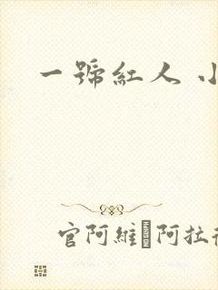 一号红人 小说
