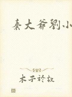 秦大爷刘小静封面