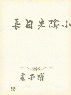 长日光阴小说