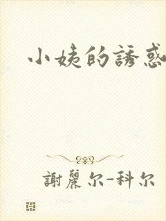 小姨的诱惑小说封面