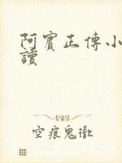 阿宾正传小说在读