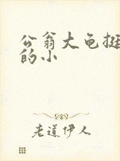 公翁大龟挺进我的小