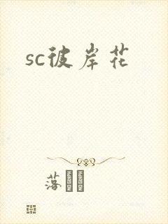 sc彼岸花封面