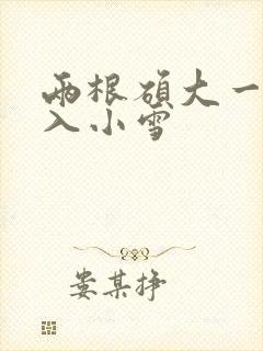 两根硕大一起挤入小雪封面