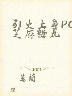 引火上身POP芝麻糖丸