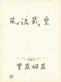 风流武皇