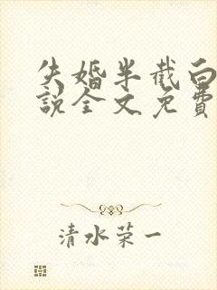 失婚半截白菜小说全文免费阅读