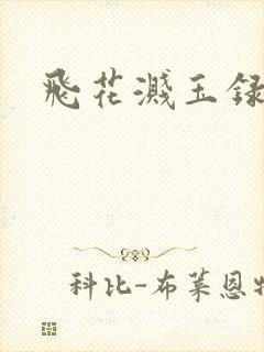 飞花溅玉录