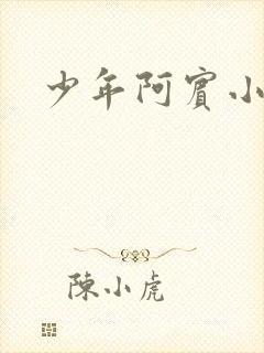 少年阿宾小说封面