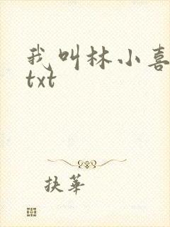 我叫林小喜小说txt