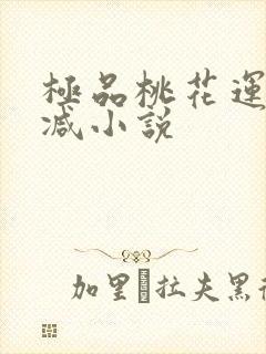 极品桃花运未删减小说