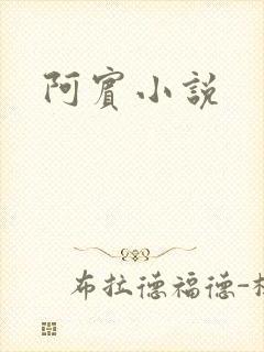 阿宾小说