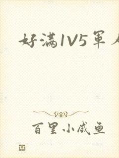 好满1V5军人
