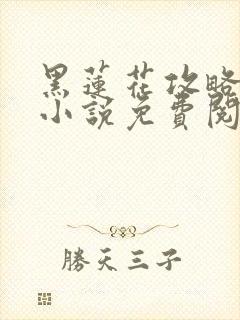 黑莲花攻略手册小说免费阅读全文