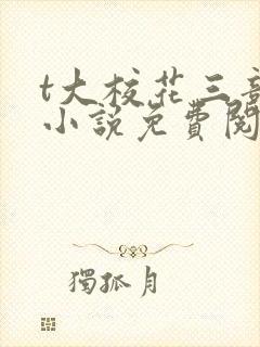 t大校花三部曲小说免费阅读全文