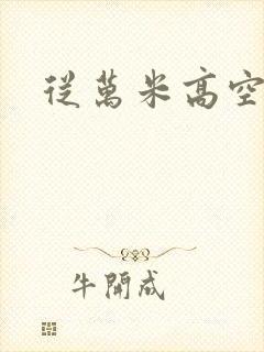从万米高空降临封面