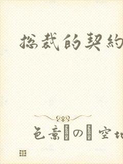 总裁的契约妻封面