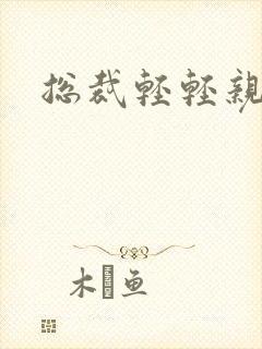 总裁轻轻亲封面