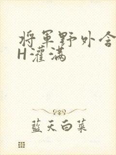 将军野外含公主H灌满