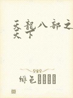 天龙八部之猎美天下封面