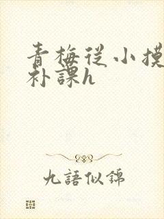 青梅从小摸到大补课h