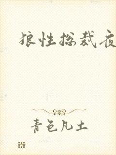 狼性总裁夜欢宠封面