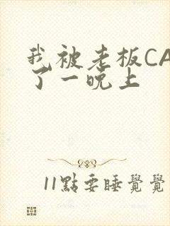 我被老板CAO了一晚上