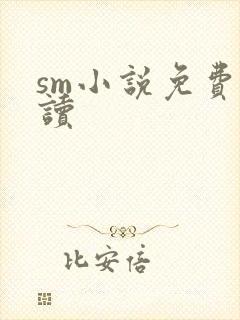 sm小说免费阅读