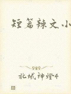 短篇辣文小说封面