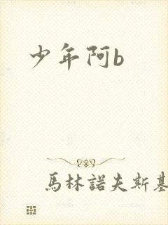 少年阿b