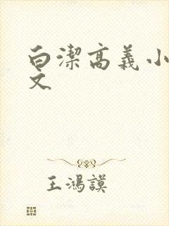 白洁高义小说全文