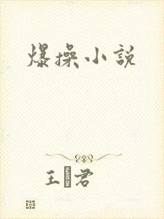 爆操小说