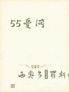55爱网