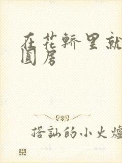 在花轿里就开始圆房