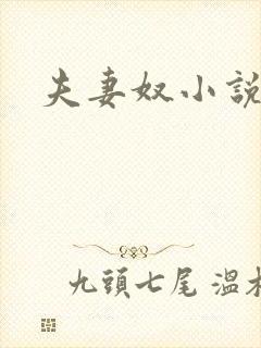 夫妻奴小说封面