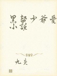 黑帮少爷爱上我小说