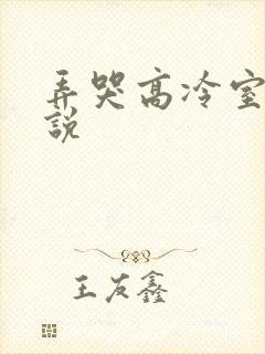 弄哭高冷室友小说