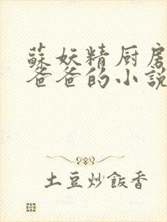 苏妖精厨房爹爹爸爸的小说