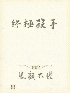 终极杀手